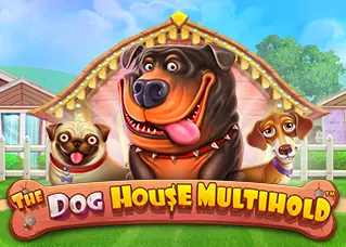 สล็อต 123 เว็บตรง The Dog House Multihold ทดลองเล่นฟรี